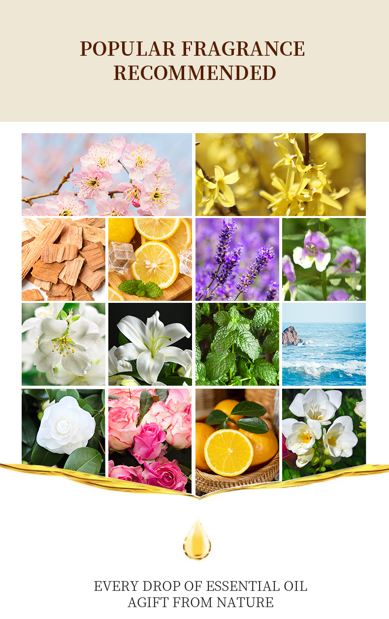 12 Flavors Set / Water-soluble - đánh giá và giá Reed Diffuser Set