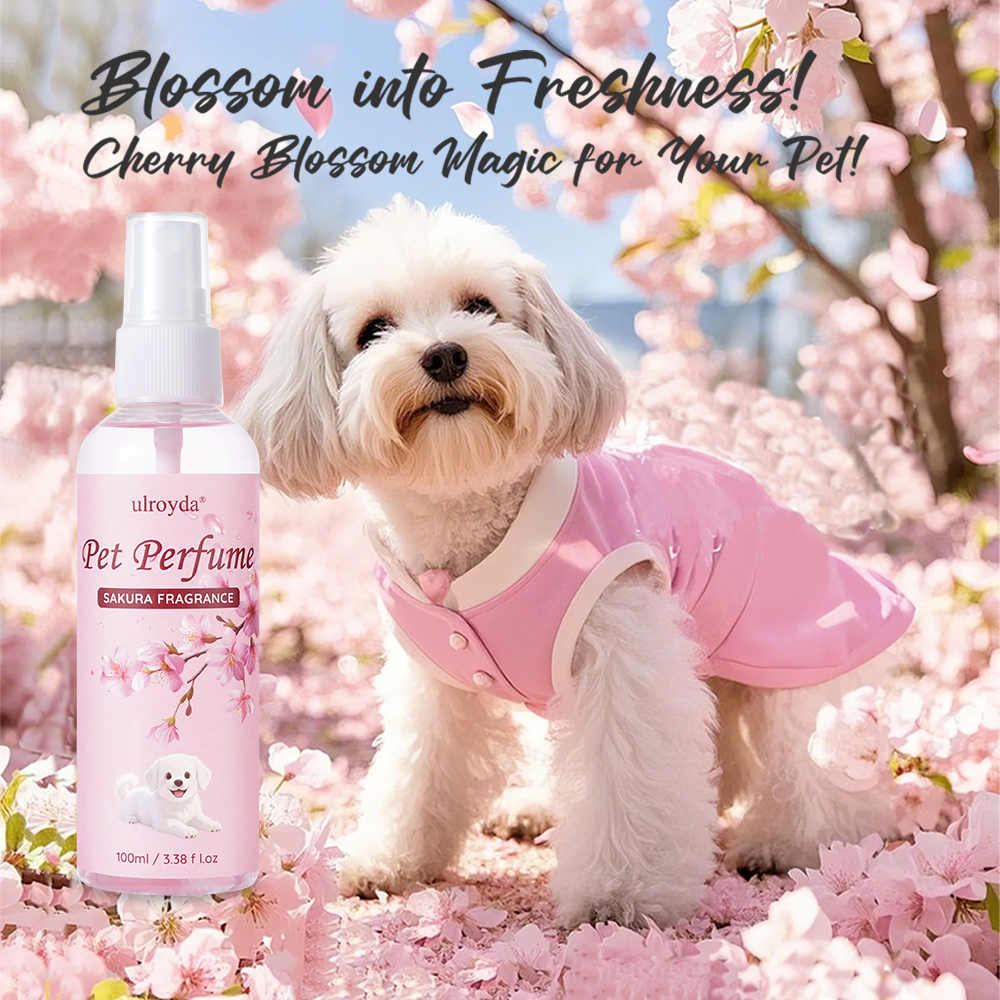 Sakura Pet Perfume Spray Long  - đánh giá và giá Home Fragrance Mist